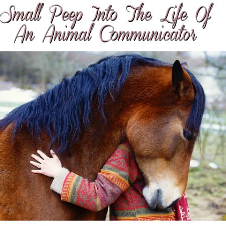 Wishes for a Little Animal Whisperer