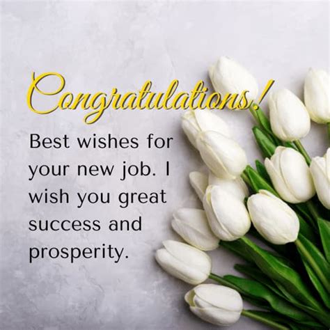 Wishes for a New Chapter: For a New Job or Promotion