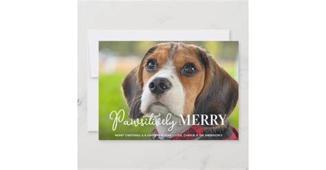 Wishes for a Pawsitively Perfect Christmas Day
