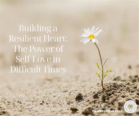 Wishes for a Resilient Heart