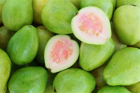 Wishes for a Serious Nutrition & Protein Punch