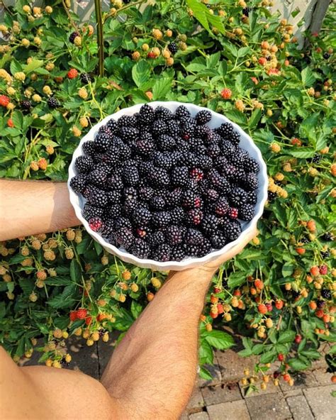 Wishes for a Thriving Valley & Bountiful Harvests