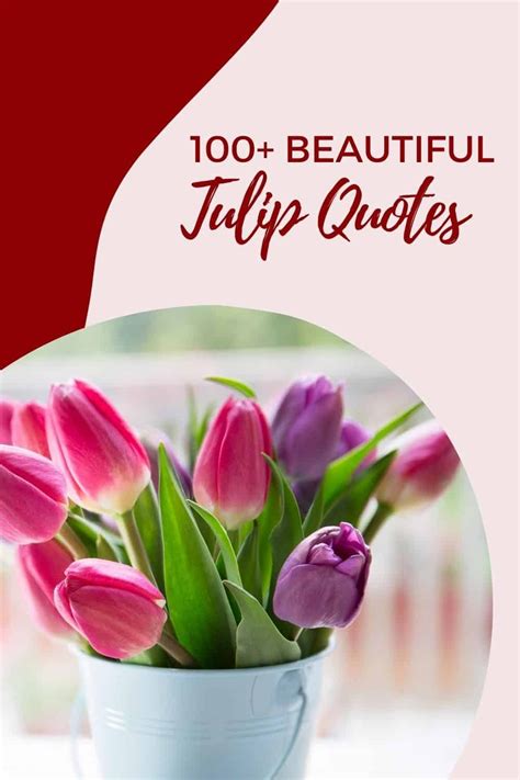 Wishes for a Year in Full Bloom
