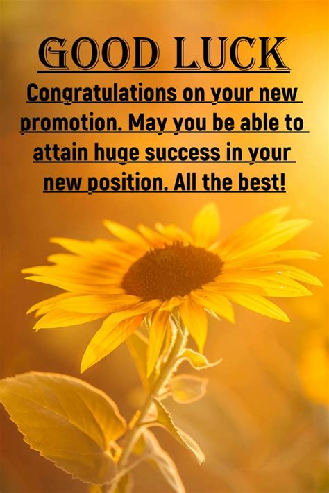 Wishes for Critical Success & Legendary Luck
