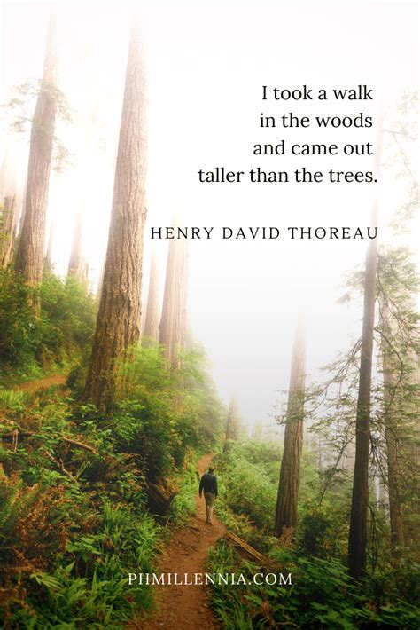 Wishes for Finding Wisdom in Nature