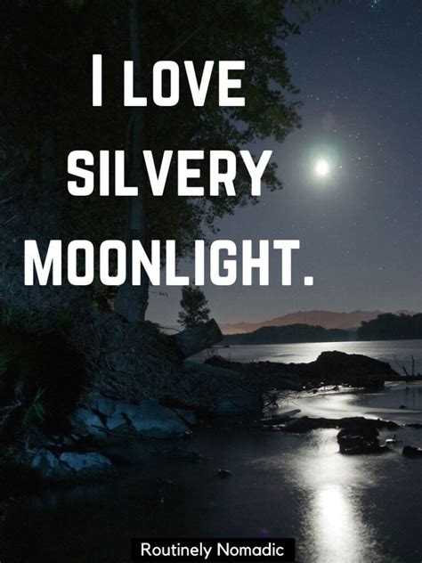 Wishes for Guidance & Clarity Under the Moonlight
