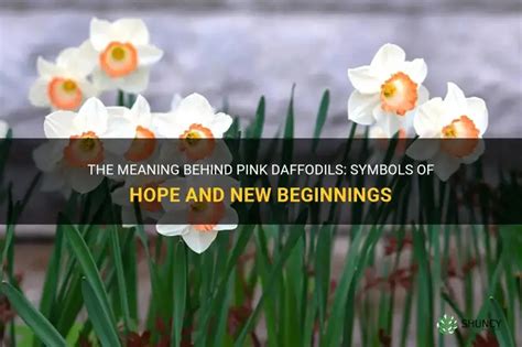 Wishes for Hope & New Beginnings (with Daffodils & Irises)