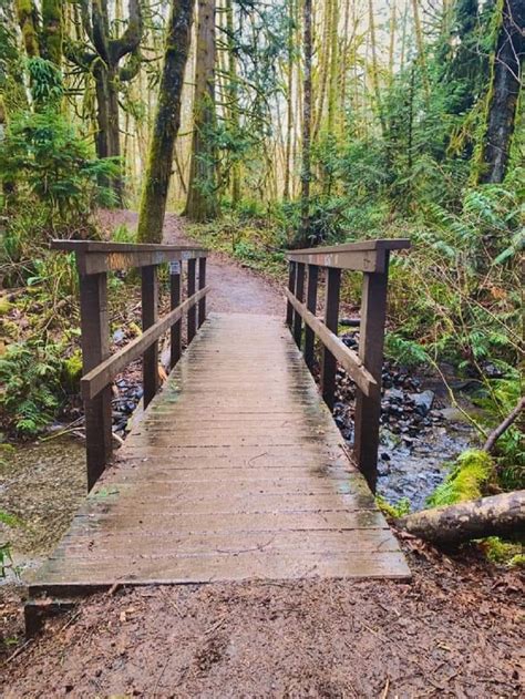 Wishes for Ocean Breezes and Forest Trails