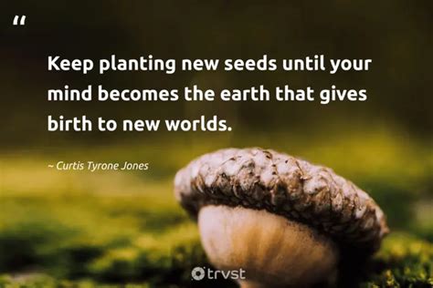 Wishes for Planting New Seeds