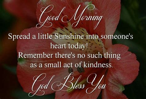 Wishes for Spreading a Little Goodness
