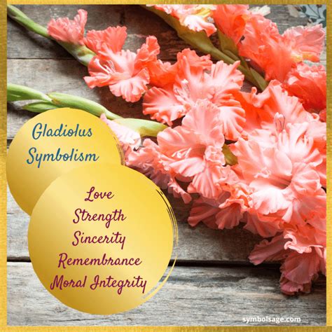 Wishes for Strength & Remembrance (with Lilies & Gladioli)