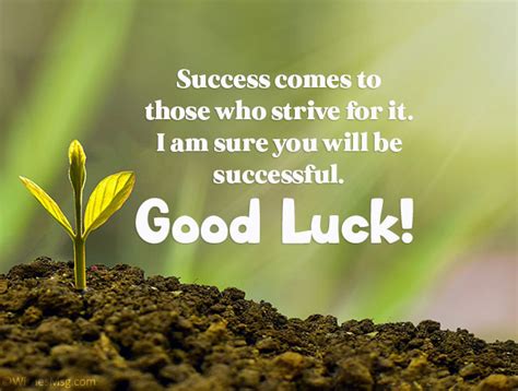 Wishes for Success and New Adventures