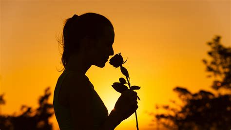 Wishes for Success & Happiness (Beyond the 9-to-5)