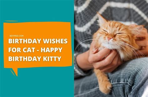 Wishes for the Cat Parent (On Their Cat's Birthday)