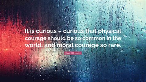 Wishes for the Courage to Be Curious