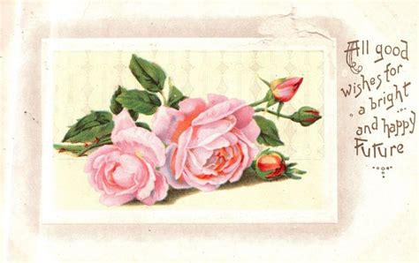 Wishes for the Future of Rosas