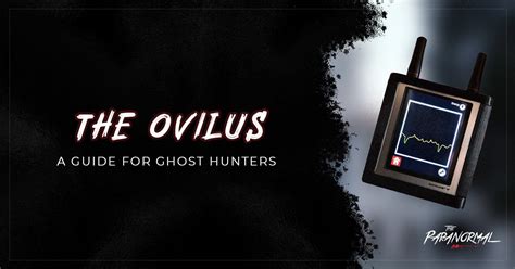 Wishes for the Overconfident Ghost Hunter