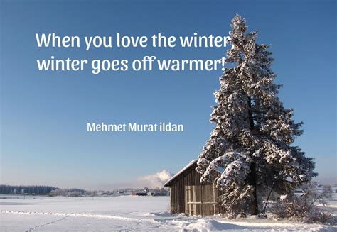Wishes for Warmth & Coziness