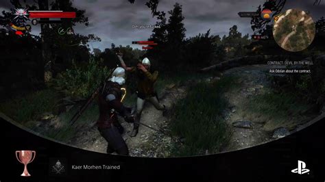 Wishes Forged at Kaer Morhen (For Facing a Great Beast or a Bad Day)