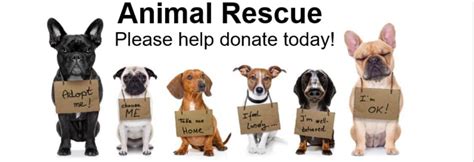 Wishes from the Animal Rescue Center