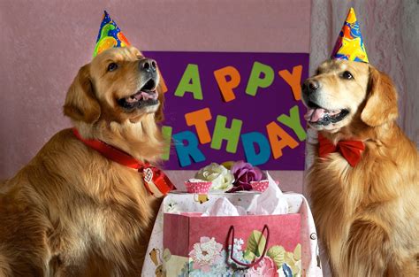Wishes "From the Dog"
