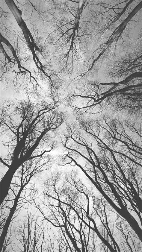 Wishes from the *folklore* Woods