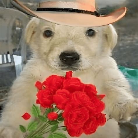 Wishes from Your Loyal "Perrito"