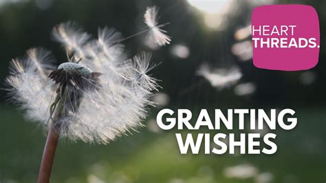 Wishes Highlighting Their Personal Impact