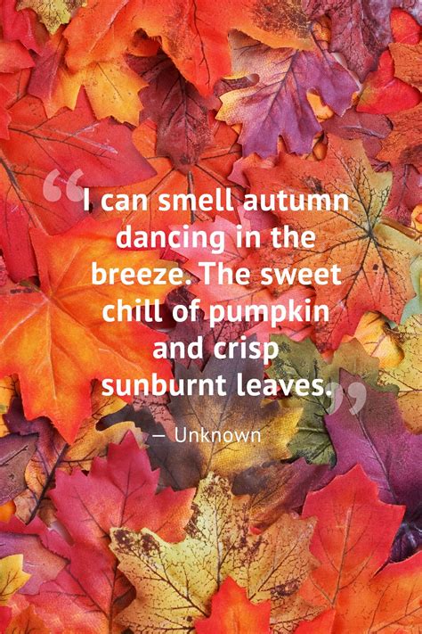 Wishes Inspired by Autumn's Natural Beauty
