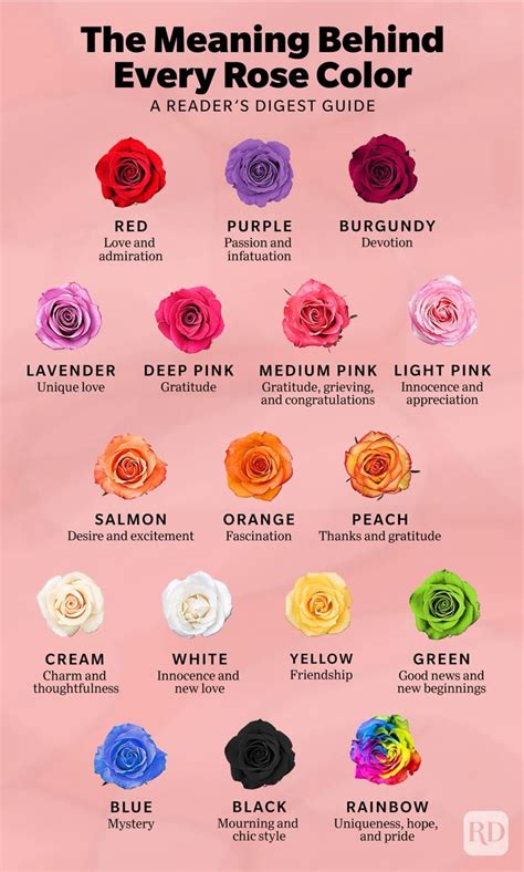 Wishes Inspired by the Color of the Rose
