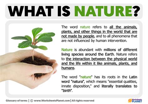 Wishes Inspired by the Natural World