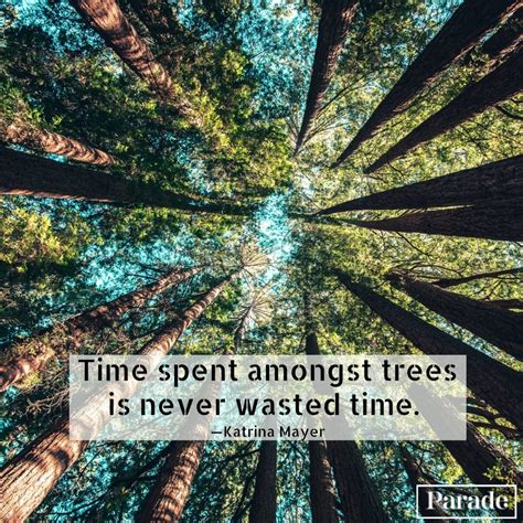 Wishes Inspired by the Wisdom of Nature