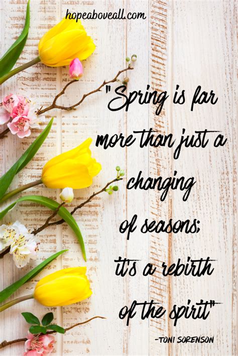 Wishes of Hope & Spring Renewal