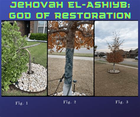 Wishes of Mending and Restoration