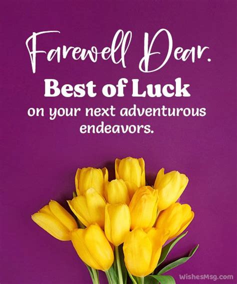 Wishes of Peace for the Next Great Adventure: Gentle Words of Farewell