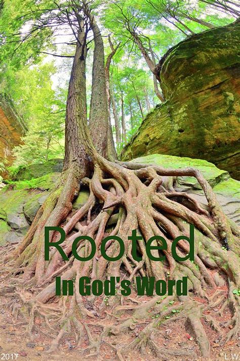 Wishes Rooted in God's Word