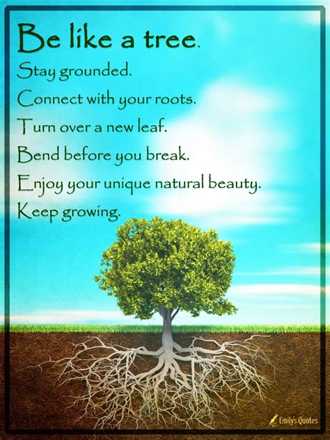 Wishes Rooted in Nature's Wisdom