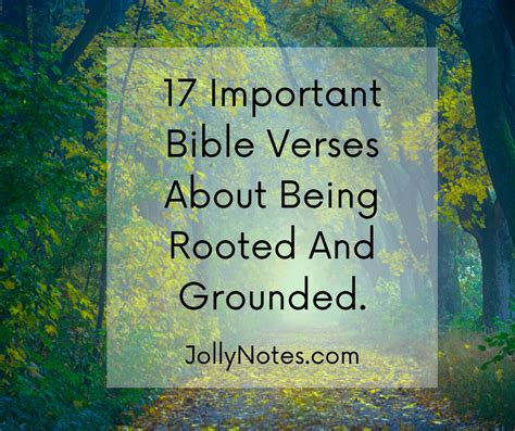 Wishes Rooted in Scripture: Blessings from the Word