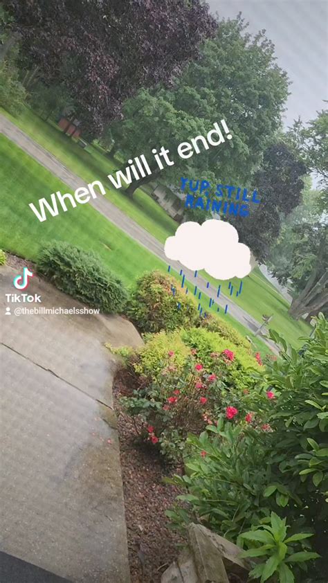 Wishes That (Hopefully) Won't Go Wrong!