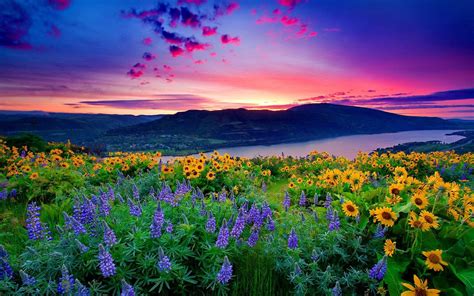 Wishes That Set a Peaceful Atmosphere