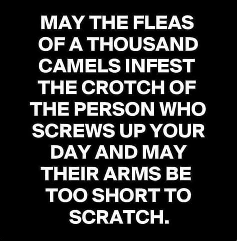Wishes to Mildly Inconvenience My Enemies