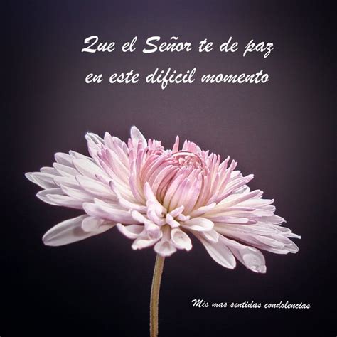 Words of Comfort & Support: Get Well & Sympathy (Palabras de Consuelo y Apoyo: Para Aliviar y Acompañar)