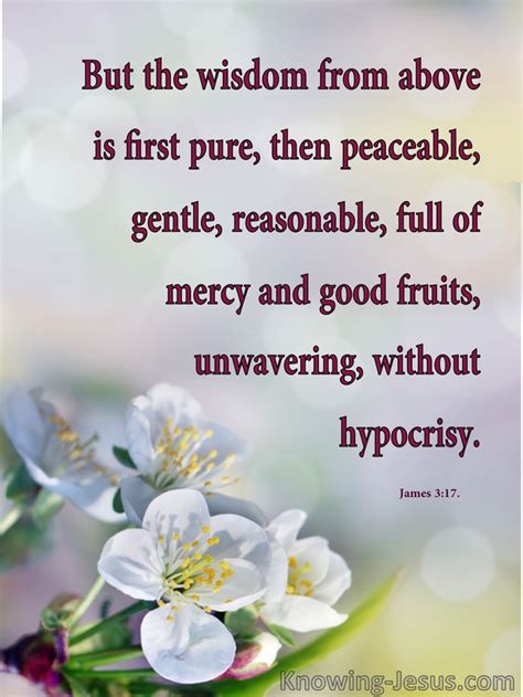 Words of Gentle Wisdom