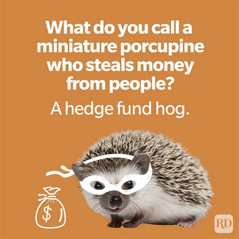 You Can't See These Jokes: Puns & Quips Based on the Meme