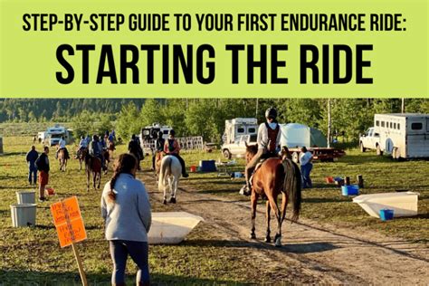 Your Ride is Just Beginning