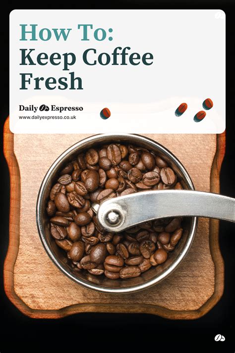 Your Role in Freshness: How to Keep Your Coffee Perfect at Home