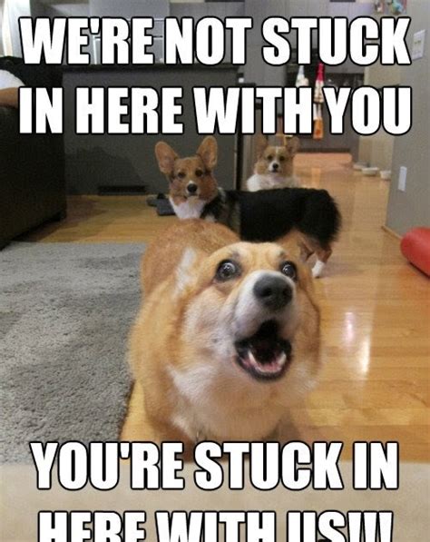 "You're Officially Stuck With Us" Jokes