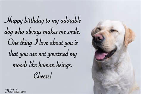 80+ Happy Birthday Wishes From a Dog: The Ultimate List of Pawsome Greetings