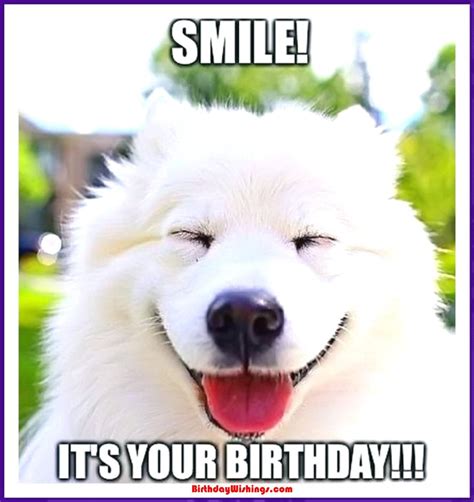 The Ultimate Guide to Happy Birthday Wishes, Meme-Style: 50+ Funny Messages for Your Most Online Friends