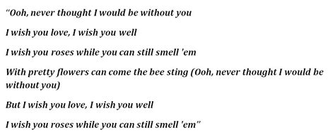 Unveiling the Petals: A Deep Dive into the "I Wish You Roses" Lyrics Meaning